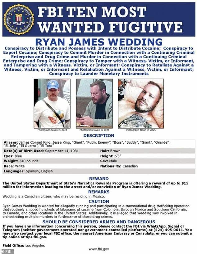 开云app官网下载评价-川普放话“不自首就斩首”!加拿大毒枭被墨西哥贩毒集团抛弃,向美国大使馆自首