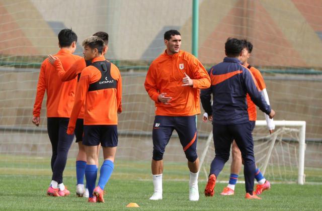 开云app官网下载教程-泰山集结石柯伤愈跟队合练 5大新援融入成第1课题